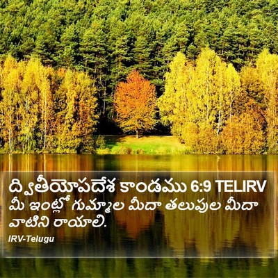 ద్వితీయోపదేశ కాండము 6:9 TELIRV Bible Verse Image