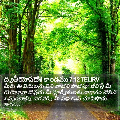 ద్వితీయోపదేశ కాండము 7:12 TELIRV Bible Verse Image