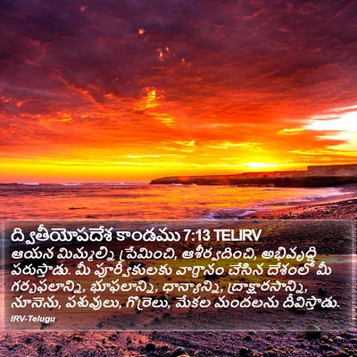 ద్వితీయోపదేశ కాండము 7:13 TELIRV Bible Verse Image