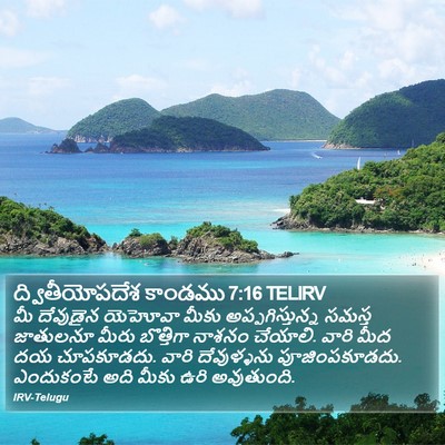 ద్వితీయోపదేశ కాండము 7:16 TELIRV Bible Verse Image