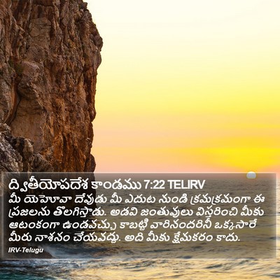 ద్వితీయోపదేశ కాండము 7:22 TELIRV Bible Verse Image