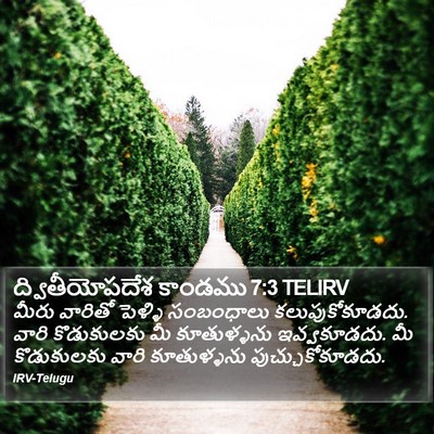 ద్వితీయోపదేశ కాండము 7:3 TELIRV Bible Verse Image