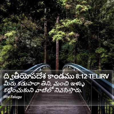 ద్వితీయోపదేశ కాండము 8:12 TELIRV Bible Verse Image