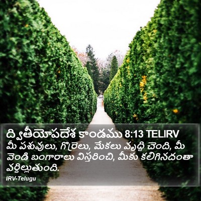 ద్వితీయోపదేశ కాండము 8:13 TELIRV Bible Verse Image