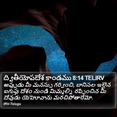 ద్వితీయోపదేశ కాండము 8:14 TELIRV Bible Verse Image