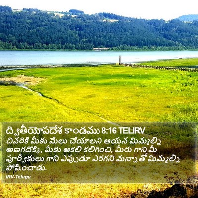 ద్వితీయోపదేశ కాండము 8:16 TELIRV Bible Verse Image