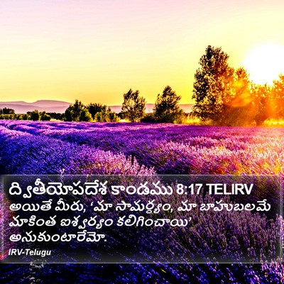 ద్వితీయోపదేశ కాండము 8:17 TELIRV Bible Verse Image