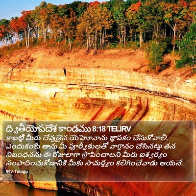 ద్వితీయోపదేశ కాండము 8:18 TELIRV Bible Verse Image