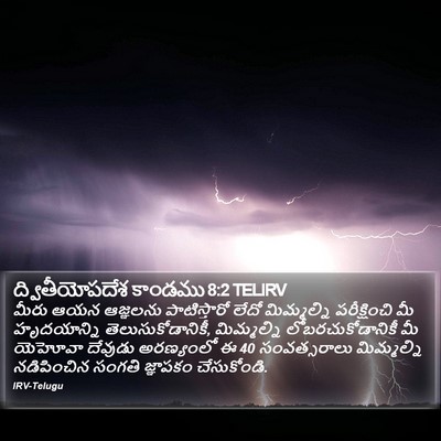 ద్వితీయోపదేశ కాండము 8:2 TELIRV Bible Verse Image