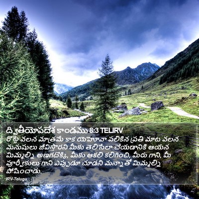 ద్వితీయోపదేశ కాండము 8:3 TELIRV Bible Verse Image
