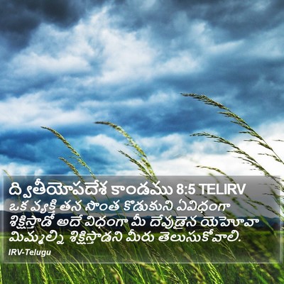 ద్వితీయోపదేశ కాండము 8:5 TELIRV Bible Verse Image