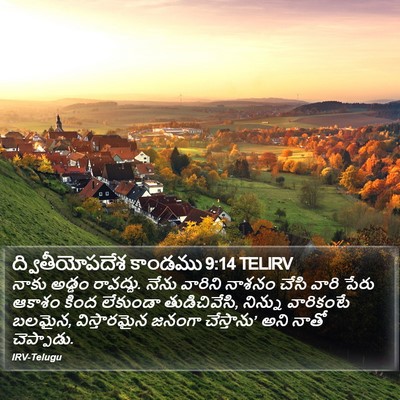 ద్వితీయోపదేశ కాండము 9:14 TELIRV Bible Verse Image
