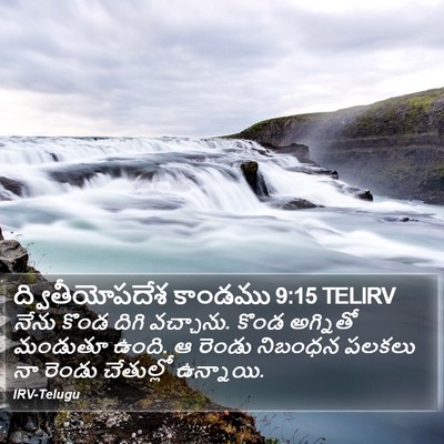 ద్వితీయోపదేశ కాండము 9:15 TELIRV Bible Verse Image