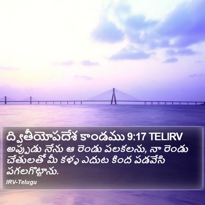 ద్వితీయోపదేశ కాండము 9:17 TELIRV Bible Verse Image