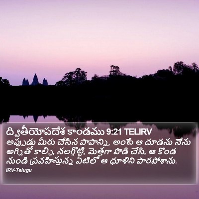 ద్వితీయోపదేశ కాండము 9:21 TELIRV Bible Verse Image