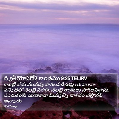 ద్వితీయోపదేశ కాండము 9:25 TELIRV Bible Verse Image