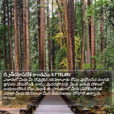 ద్వితీయోపదేశ కాండము 9:7 TELIRV Bible Verse Image