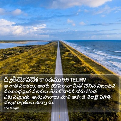 ద్వితీయోపదేశ కాండము 9:9 TELIRV Bible Verse Image