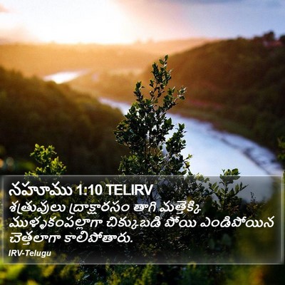 నహూము 1:10 TELIRV Bible Verse Image