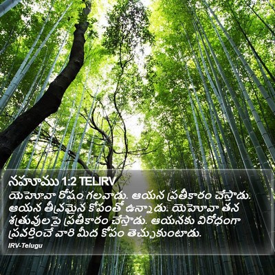 నహూము 1:2 TELIRV Bible Verse Image