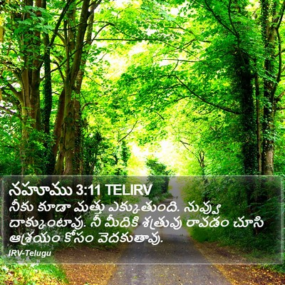 నహూము 3:11 TELIRV Bible Verse Image