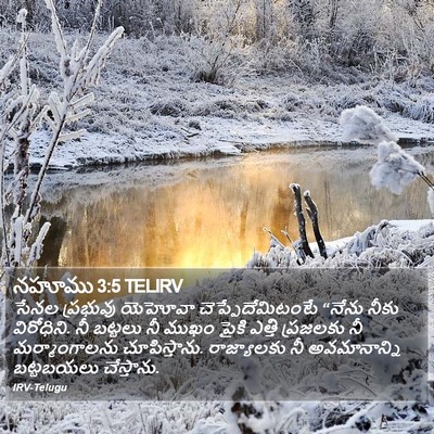 నహూము 3:5 TELIRV Bible Verse Image