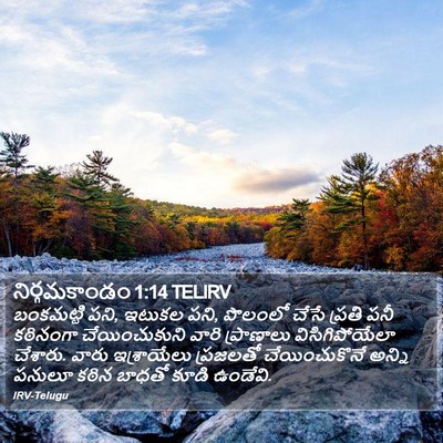 నిర్గమకాండం 1:14 TELIRV Bible Verse Image