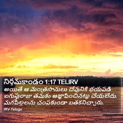 నిర్గమకాండం 1:17 TELIRV Bible Verse Image