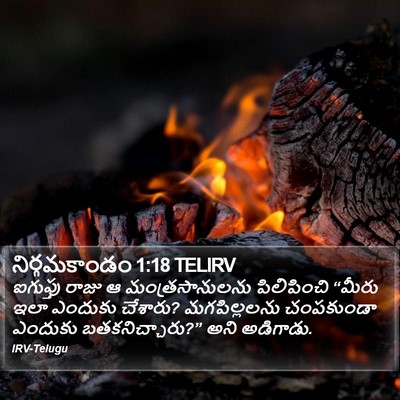 నిర్గమకాండం 1:18 TELIRV Bible Verse Image