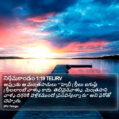 నిర్గమకాండం 1:19 TELIRV Bible Verse Image