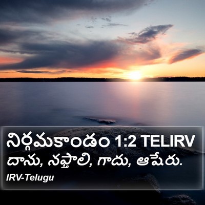 నిర్గమకాండం 1:2 TELIRV Bible Verse Image