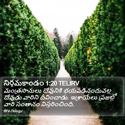 నిర్గమకాండం 1:20 TELIRV Bible Verse Image