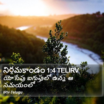 నిర్గమకాండం 1:4 TELIRV Bible Verse Image
