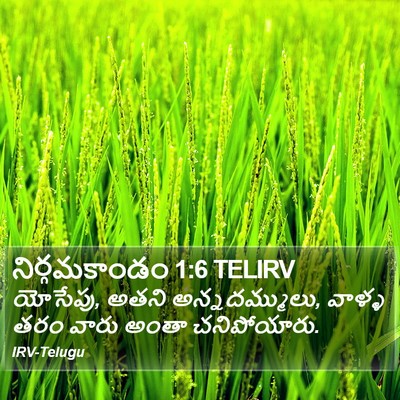 నిర్గమకాండం 1:6 TELIRV Bible Verse Image