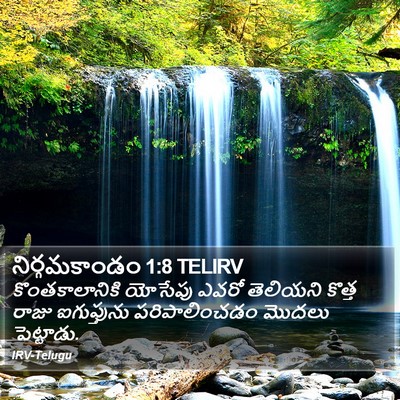 నిర్గమకాండం 1:8 TELIRV Bible Verse Image