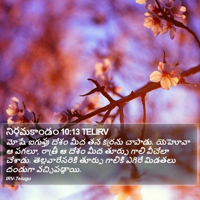 నిర్గమకాండం 10:13 TELIRV Bible Verse Image