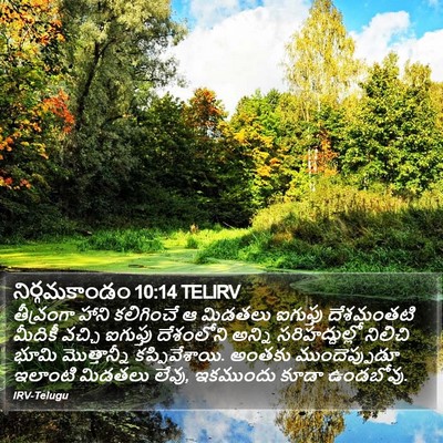 నిర్గమకాండం 10:14 TELIRV Bible Verse Image