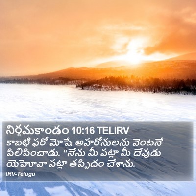నిర్గమకాండం 10:16 TELIRV Bible Verse Image