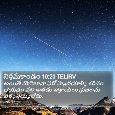నిర్గమకాండం 10:20 TELIRV Bible Verse Image