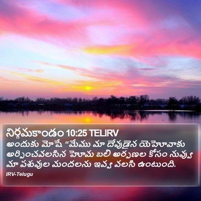 నిర్గమకాండం 10:25 TELIRV Bible Verse Image