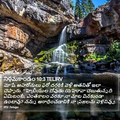 నిర్గమకాండం 10:3 TELIRV Bible Verse Image