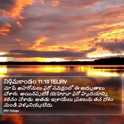 నిర్గమకాండం 11:10 TELIRV Bible Verse Image