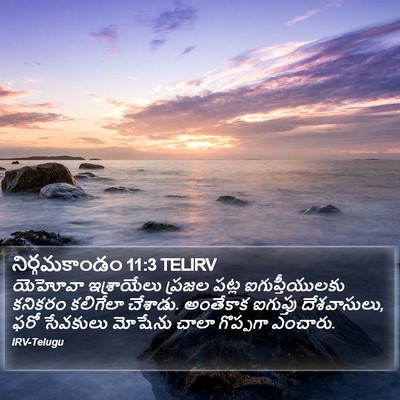నిర్గమకాండం 11:3 TELIRV Bible Verse Image