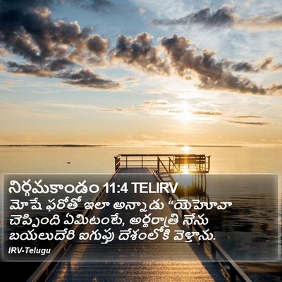 నిర్గమకాండం 11:4 TELIRV Bible Verse Image