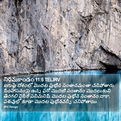 నిర్గమకాండం 11:5 TELIRV Bible Verse Image