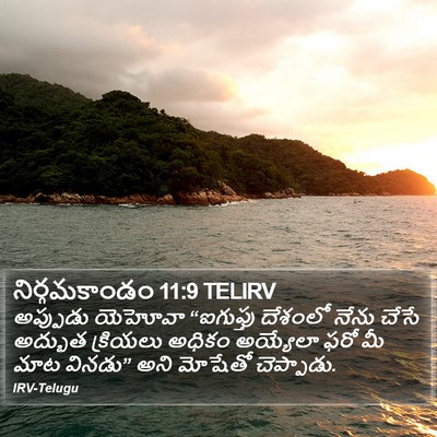 నిర్గమకాండం 11:9 TELIRV Bible Verse Image