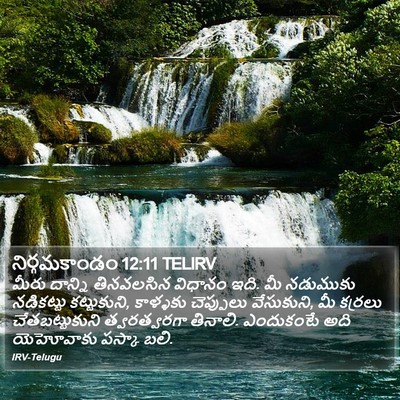 నిర్గమకాండం 12:11 TELIRV Bible Verse Image