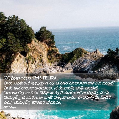 నిర్గమకాండం 12:13 TELIRV Bible Verse Image