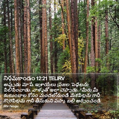 నిర్గమకాండం 12:21 TELIRV Bible Verse Image