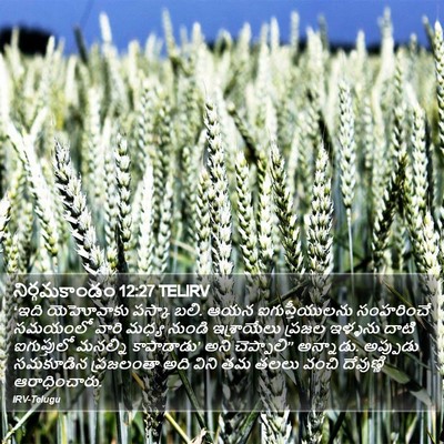 నిర్గమకాండం 12:27 TELIRV Bible Verse Image